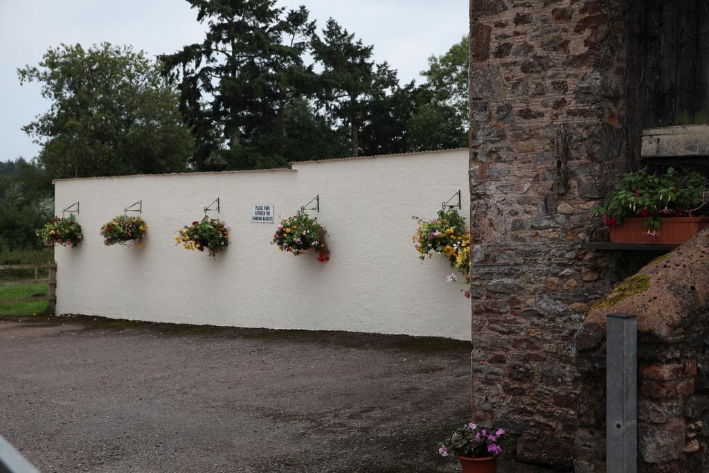 Bed and Breakfast Weir Mill Farm Cullompton Zewnętrze zdjęcie